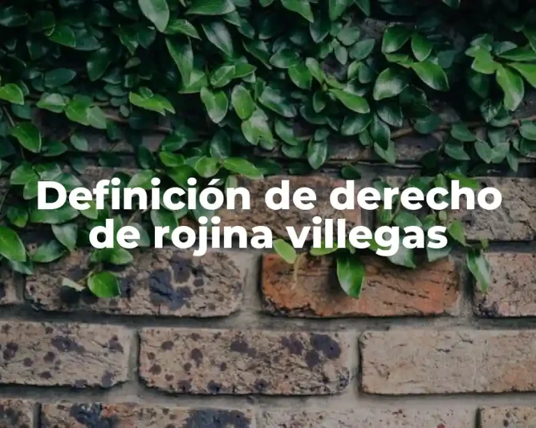 Definición de derecho de rojina villegas