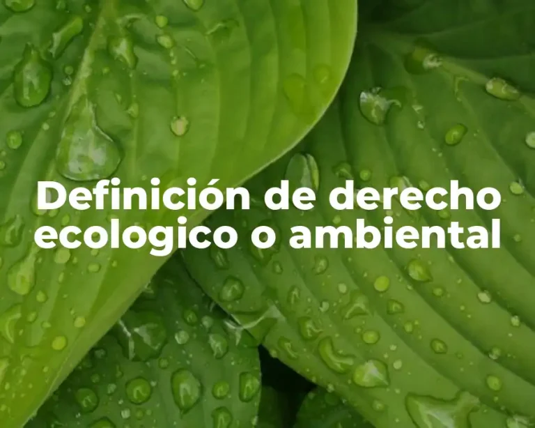 Definición de derecho ecologico o ambiental