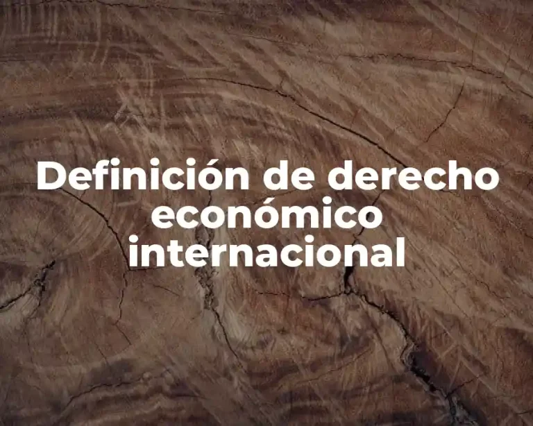 Definición de derecho económico internacional