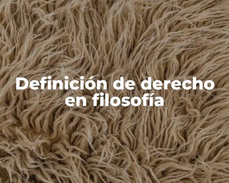 Definición de derecho en filosofía