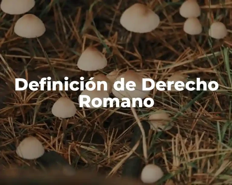 Definición de Derecho Romano