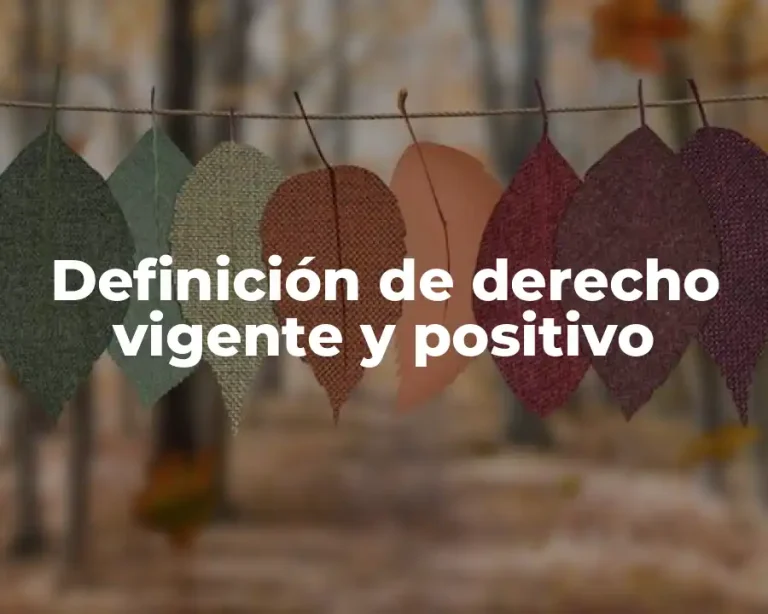 Definición de derecho vigente y positivo