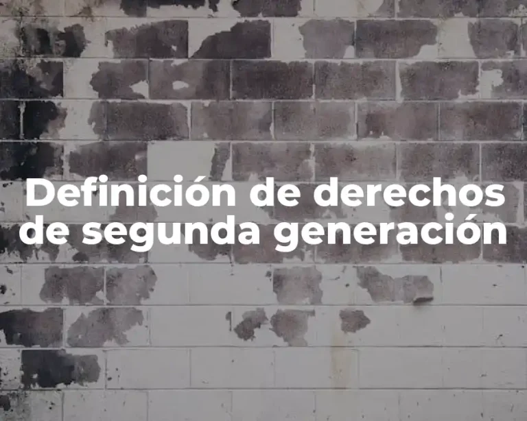 Definición de derechos de segunda generación