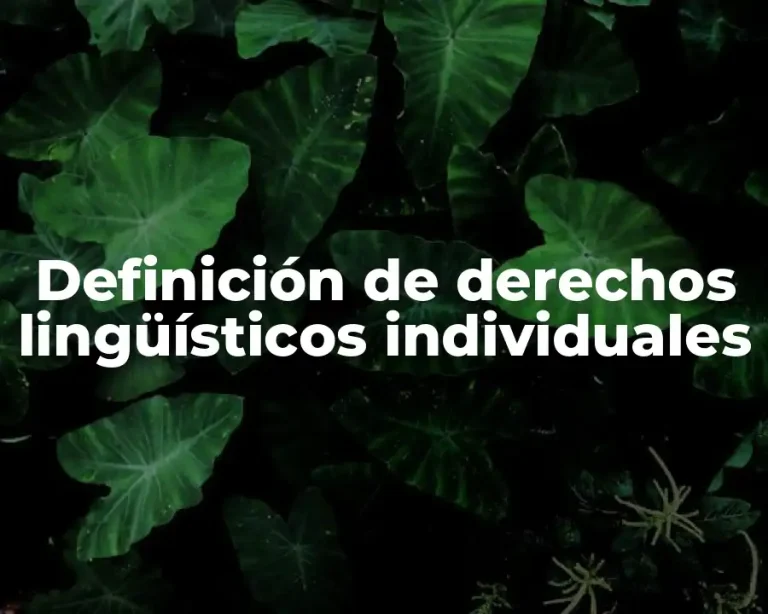Definición de derechos lingüísticos individuales