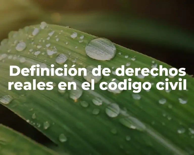 Definición de derechos reales en el código civil