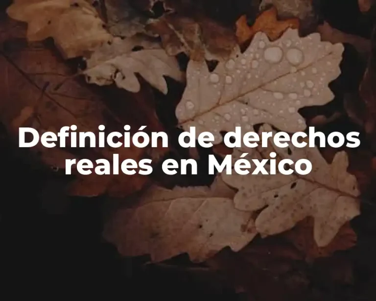 Definición de derechos reales en México