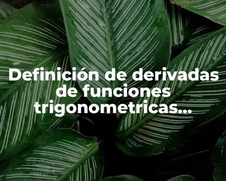Definición de derivadas de funciones trigonometricas inversas fraccionales
