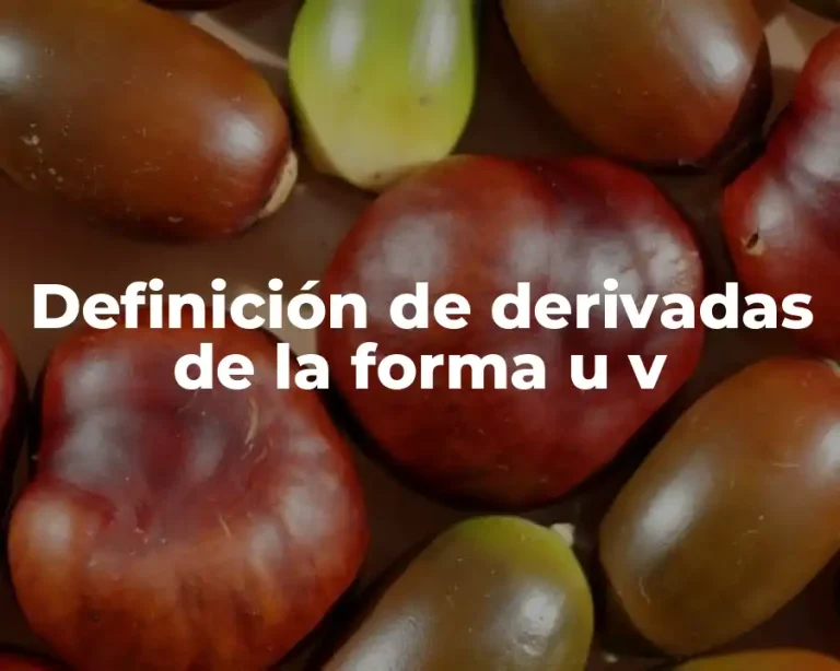 Definición de derivadas de la forma u v