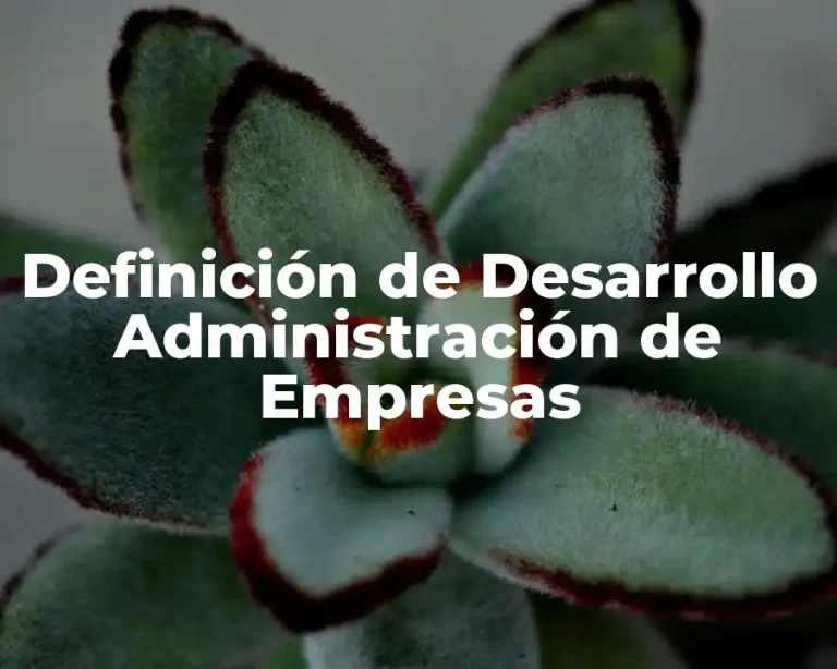Definición de Desarrollo Administración de Empresas