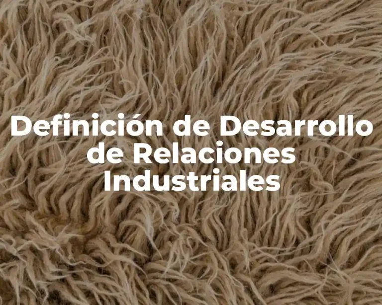 Definición de Desarrollo de Relaciones Industriales