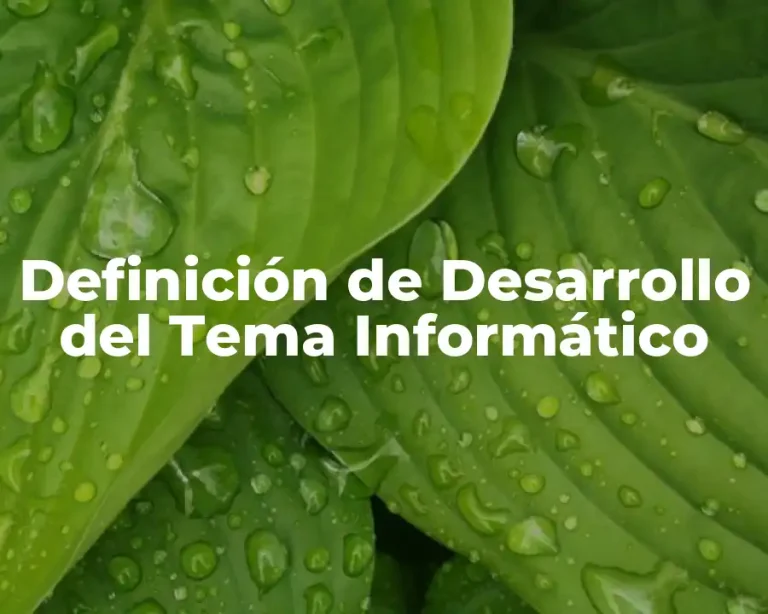 Definición de Desarrollo del Tema Informático