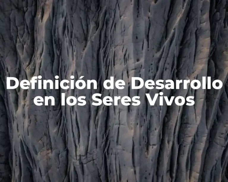 Definición de Desarrollo en los Seres Vivos
