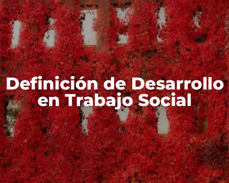 Definición de Desarrollo en Trabajo Social