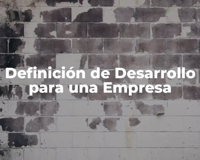 Definición de Desarrollo para una Empresa