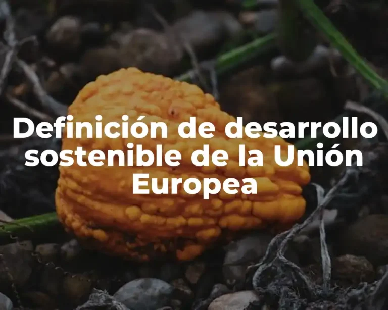 Definición de desarrollo sostenible de la Unión Europea