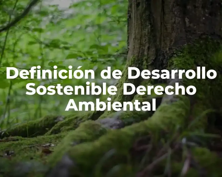 Definición de Desarrollo Sostenible Derecho Ambiental