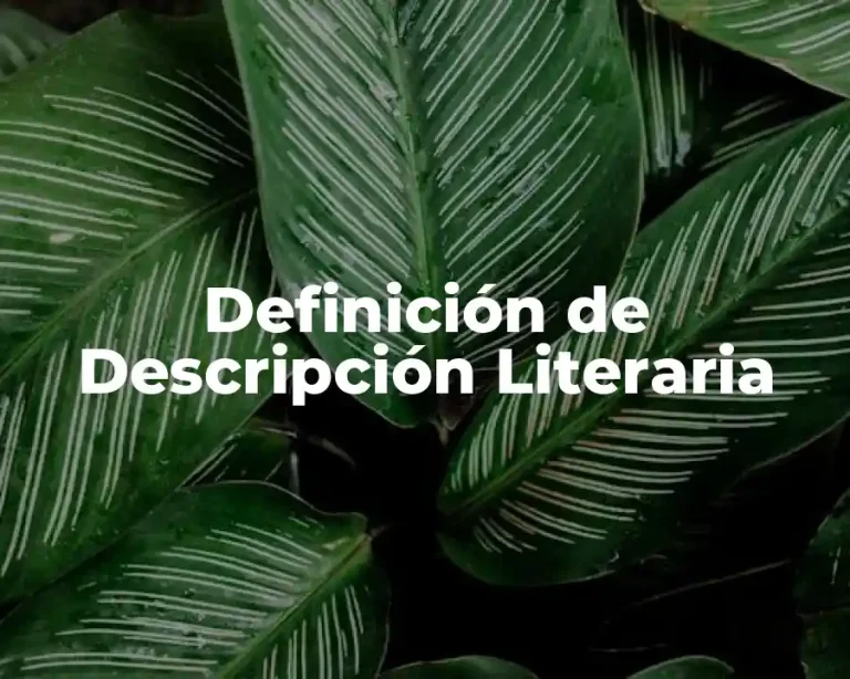 Definición de Descripción Literaria