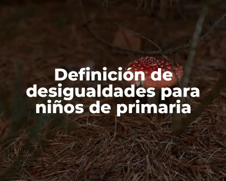 Definición de desigualdades para niños de primaria