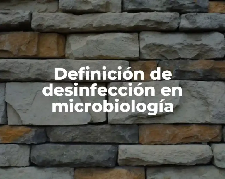 Definición de desinfección en microbiología