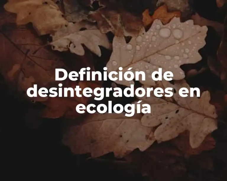 Definición de desintegradores en ecología