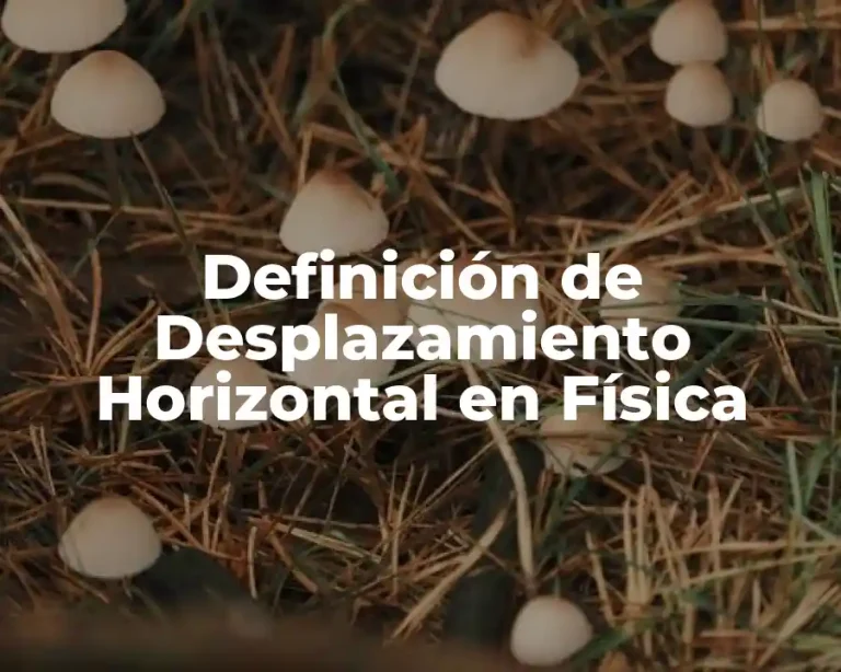 Definición de Desplazamiento Horizontal en Física