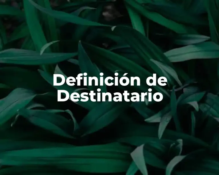 Definición de Destinatario