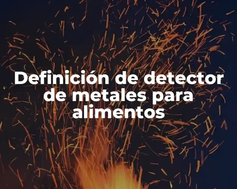 Definición de detector de metales para alimentos