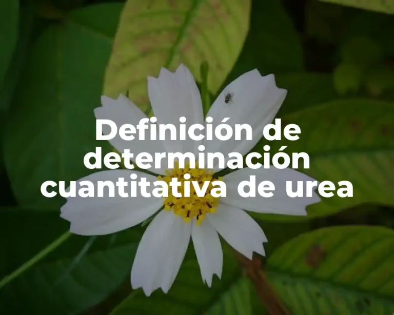Definición de determinación cuantitativa de urea