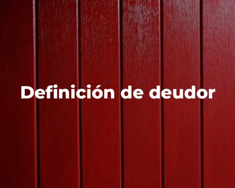 Definición de deudor