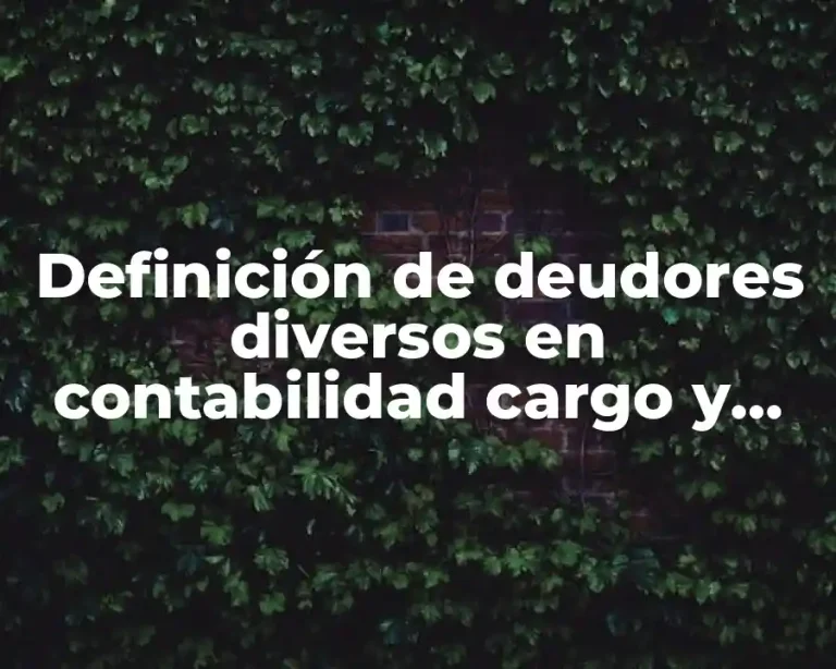 Definición de deudores diversos en contabilidad cargo y abono