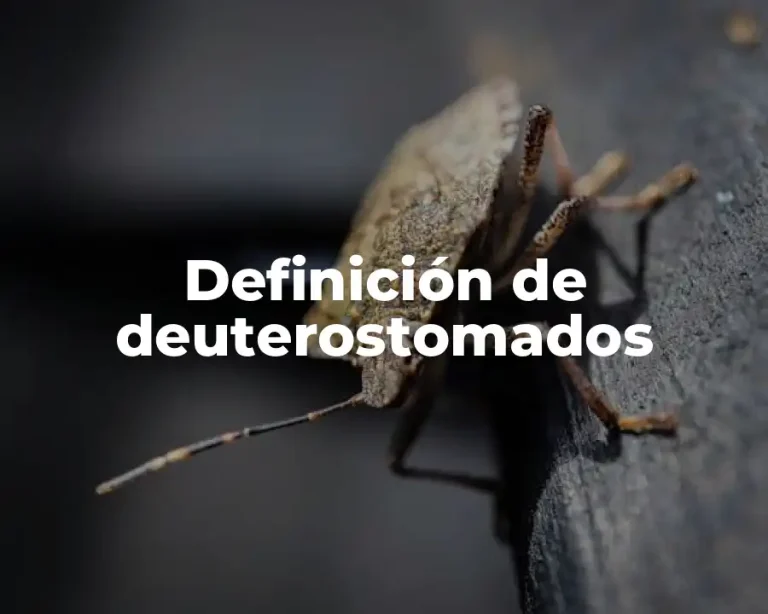 Definición de deuterostomados