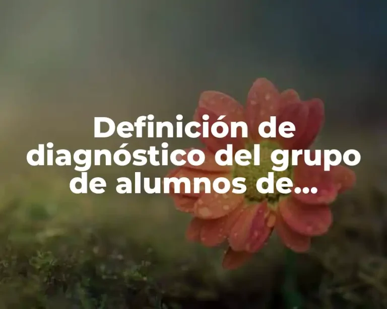 Definición de diagnóstico del grupo de alumnos de secundaria