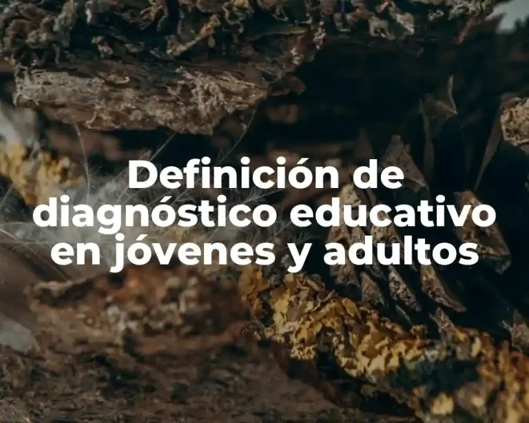 Definición de diagnóstico educativo en jóvenes y adultos
