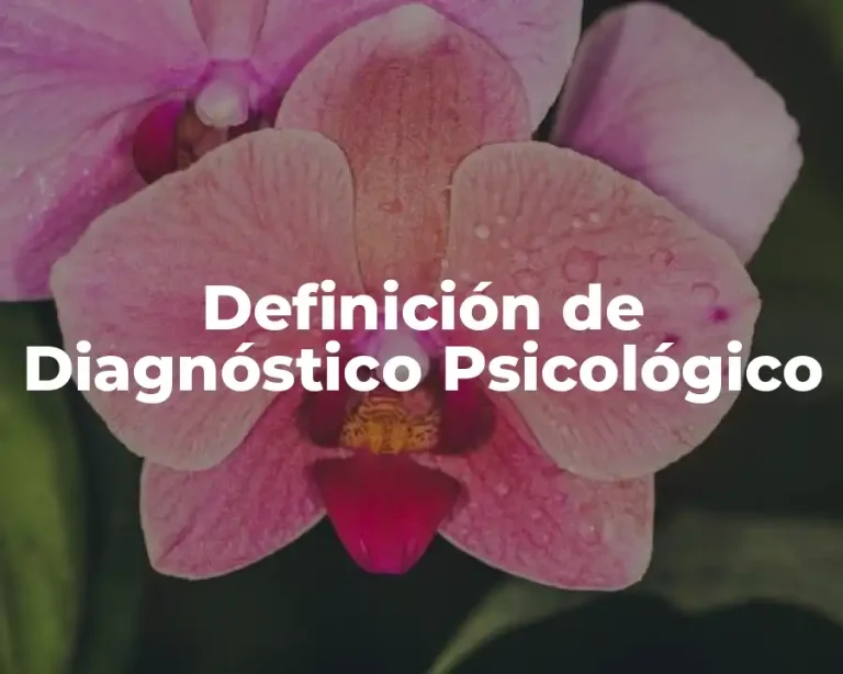 Definición de Diagnóstico Psicológico