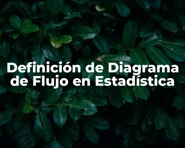 Definición de Diagrama de Flujo en Estadística