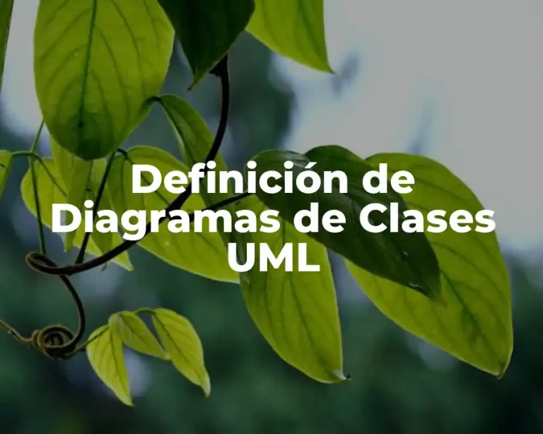 Definición de Diagramas de Clases UML