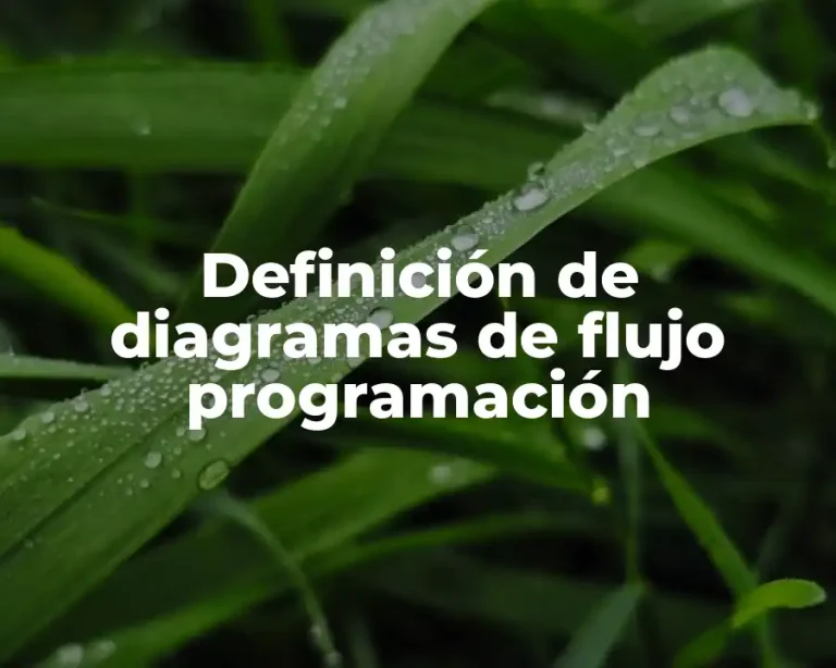Definición de diagramas de flujo programación