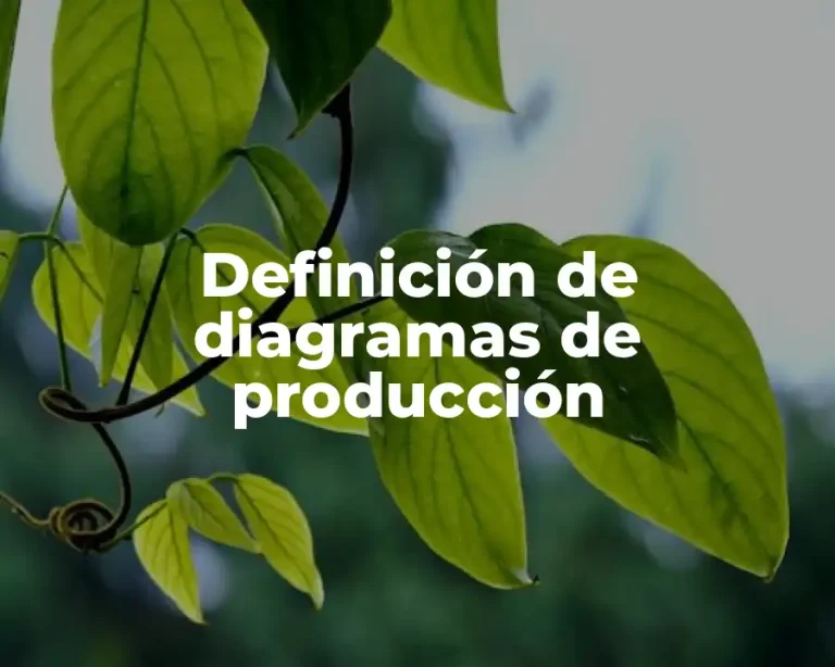 Definición de diagramas de producción