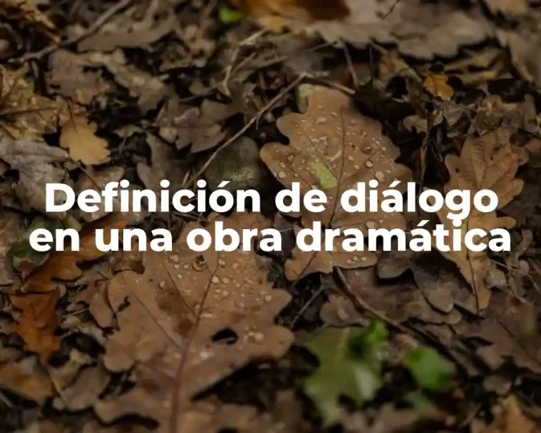 Definición de diálogo en una obra dramática