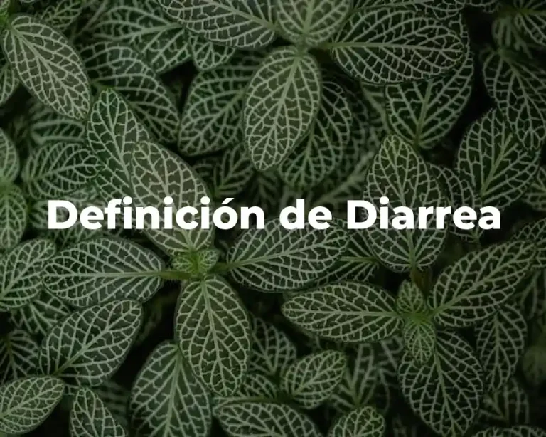 Definición de Diarrea