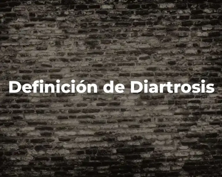 Definición de Diartrosis
