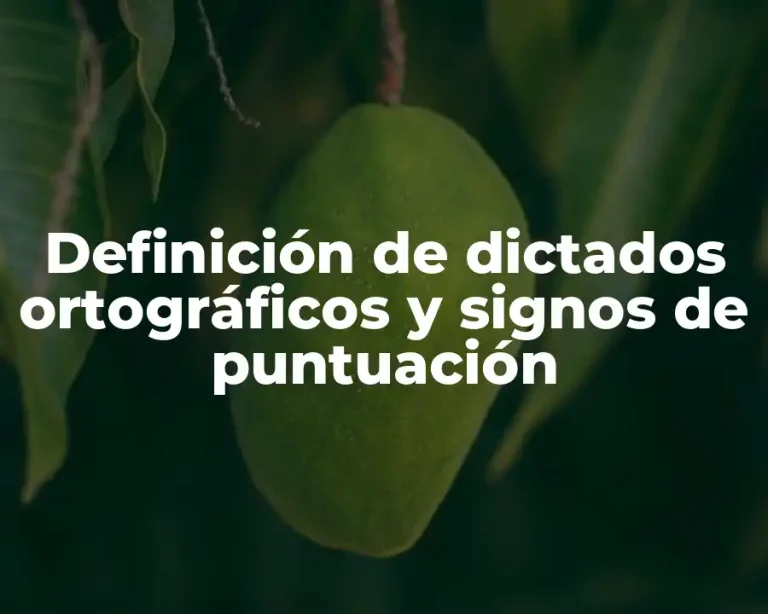 Definición de dictados ortográficos y signos de puntuación