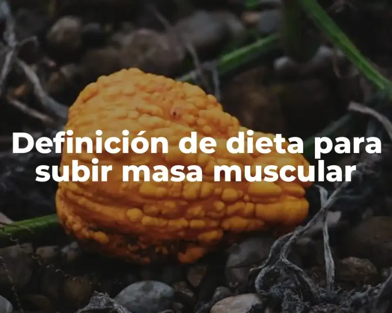 Definición de dieta para subir masa muscular