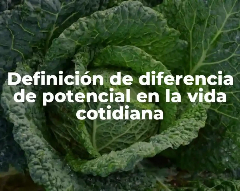 Definición de diferencia de potencial en la vida cotidiana
