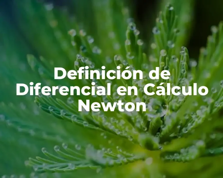 Definición de Diferencial en Cálculo Newton