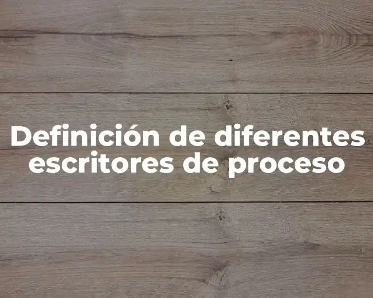 Definición de diferentes escritores de proceso