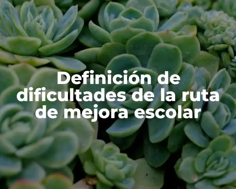 Definición de dificultades de la ruta de mejora escolar