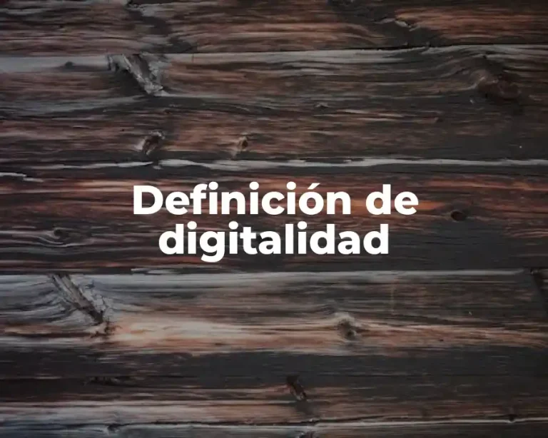 Definición de digitalidad