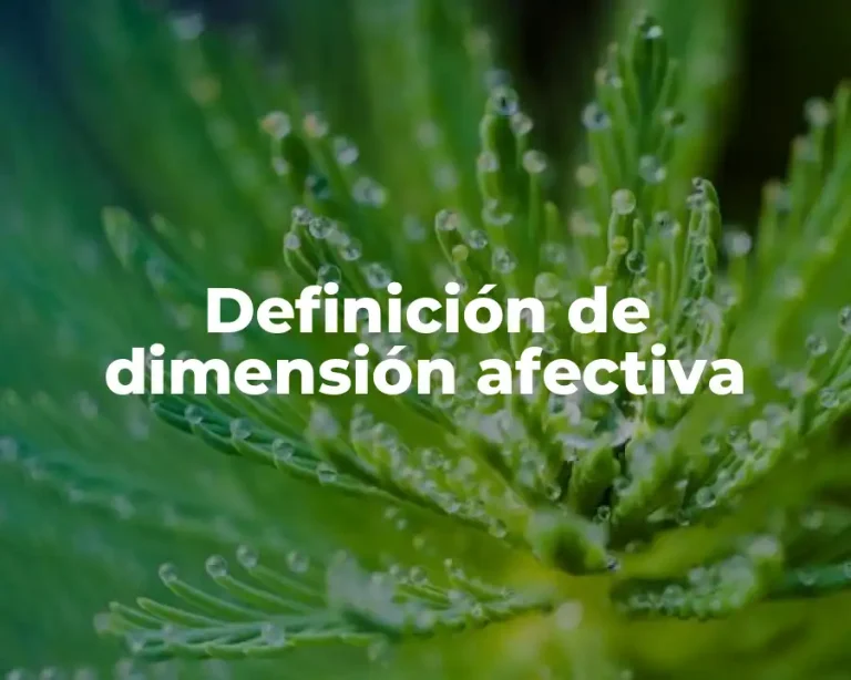 Definición de dimensión afectiva