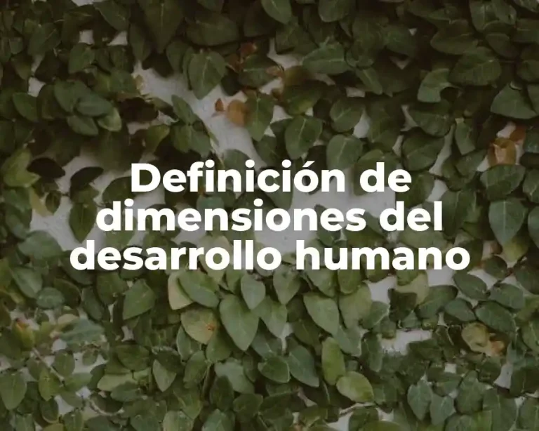 Definición de dimensiones del desarrollo humano